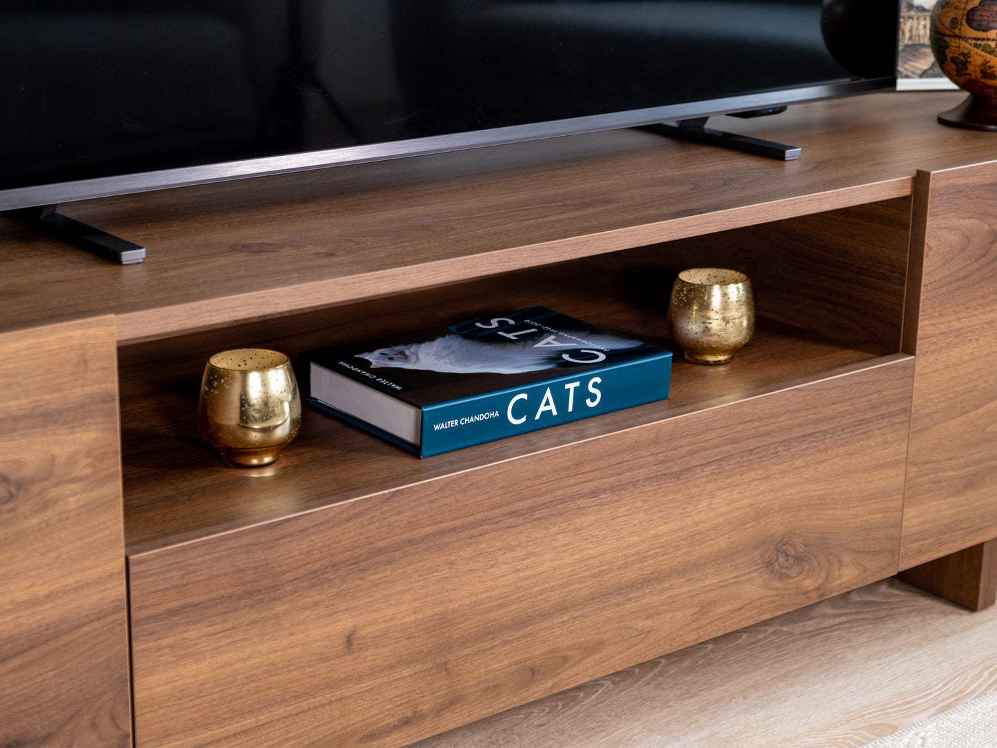 Kedi Portresi Dekoratif Sahte Kitap Kutusu