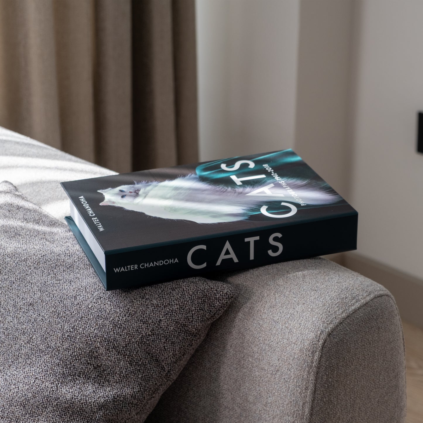 Kedi Portresi Dekoratif Sahte Kitap Kutusu