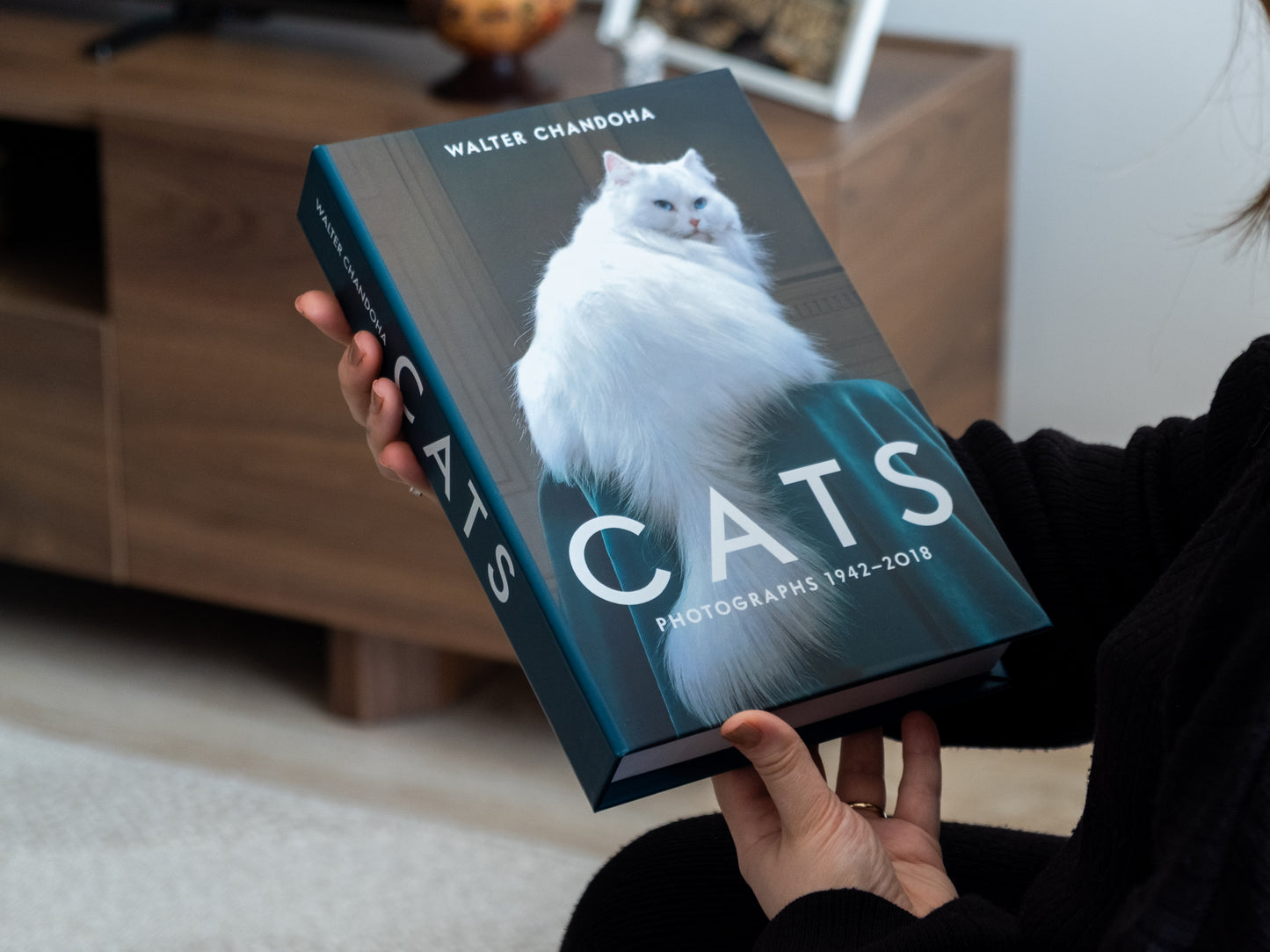 Kedi Portresi Dekoratif Sahte Kitap Kutusu